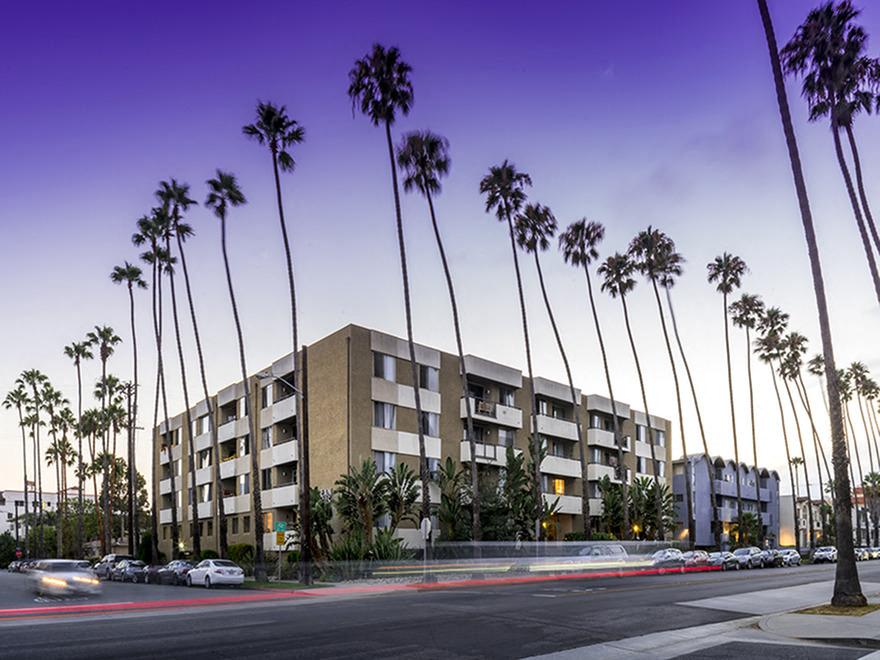 Ocean Palms and Palisades Image 10